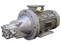 Motor-Pumpen-Kombination Motor-Pumpen-Kombination