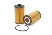 F411201510010 Schmierölfilter Filterelement für FENDT 514