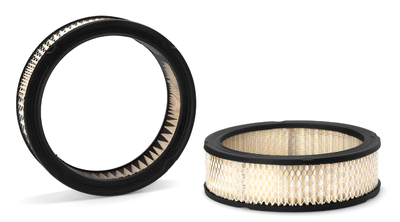 25040881 Luftfilter f&uuml;r CHEVROLET, PONTIAC, BUICK, ... 