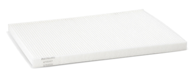 525507BSM Luftfilter f&uuml;r KENWORTH 