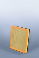 AF25797 FLEETGUARD Original-Luftfilter