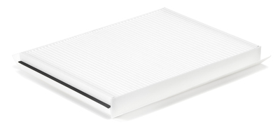 AF26405 FLEETGUARD Original-Luftfilter