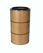 AF26439 FLEETGUARD Original-Luftfilter