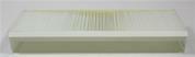 AF26671 FLEETGUARD Original-Luftfilter