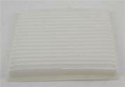 AF55749 FLEETGUARD Original-Luftfilter