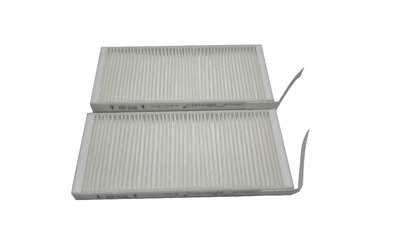 AF55842 FLEETGUARD Original-Luftfilter