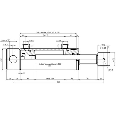 Schema Hydraulikzylinder S12070, doppeltwirkend ohne Befestigung