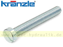 Zylinderschraube M 5 x 40 mit Schlitz DIN 84 blau verzinkt 41415 für KRÄNZLE SONSTIGE