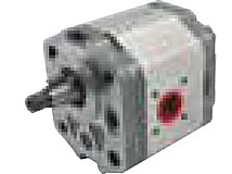 Pumpe G231941010010 für FENDT Fix2E