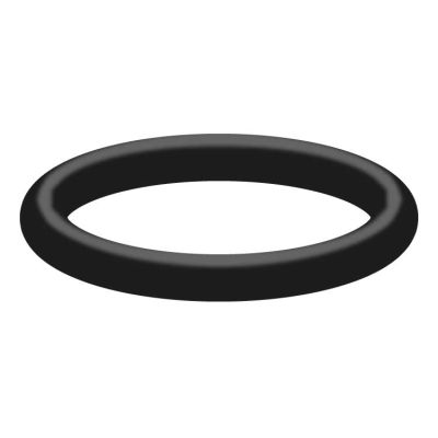 050001000 O-Ring 21x2,5 von R+M / Suttner