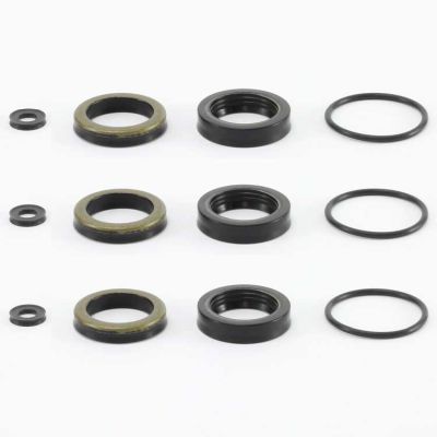 1581810 Dichtsatz passend für CAT 5CP2110-2150 von R+M / Suttner