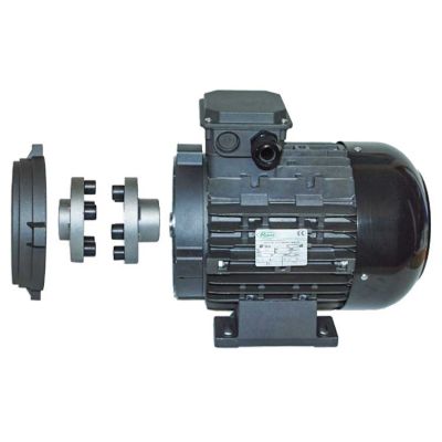 175002408 Motor 7,5 KW 230/400V RVJ Hohlwelle 24 H132L 1000 U/min. von R+M / Suttner