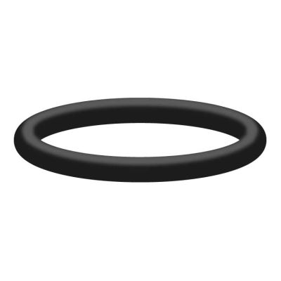 90384700 O-Ring von R+M / Suttner