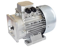 Drehstrommotor 400V/50Hz