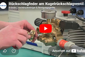 Rückschlagfeder